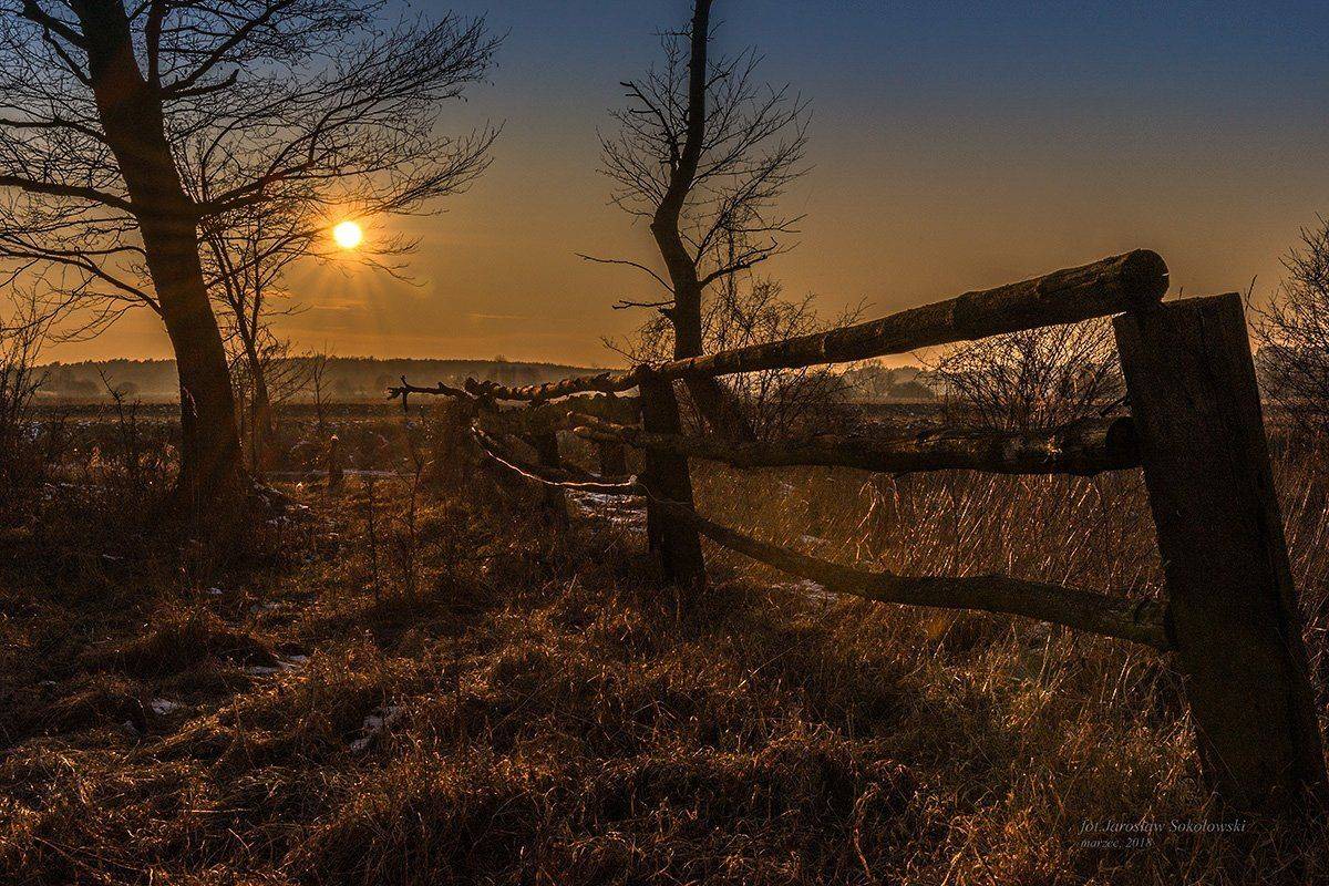 , Jarosław Sokołowski