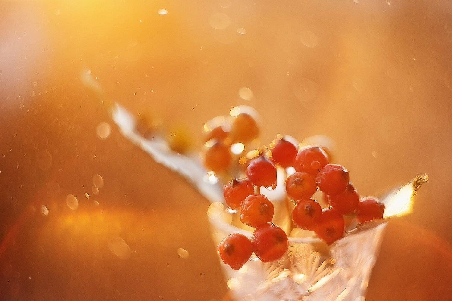 , Анастасия Колесникова