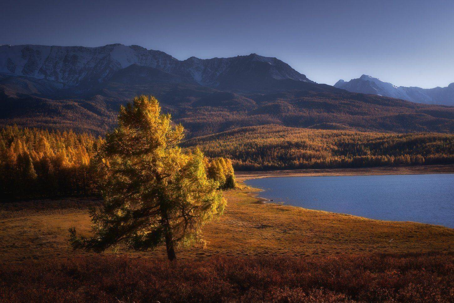 алтай, горы, осень, караколь, Владимир Ляпин