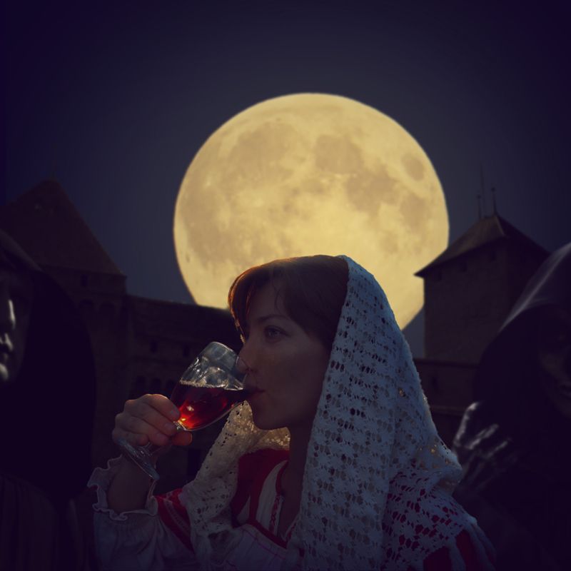 фотошоп Не пей вина , Гертруда! фото превью