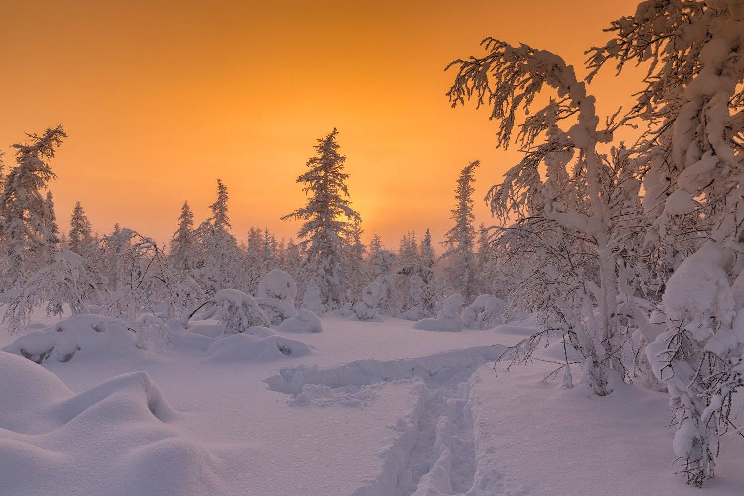 , Евгений Кужилев