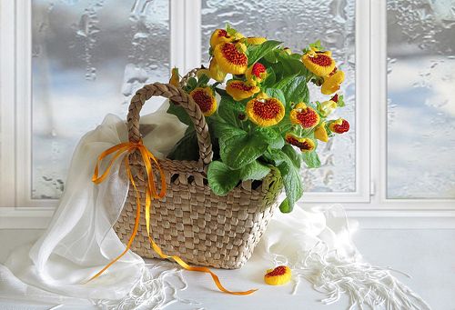 И все таки весна! С праздником!