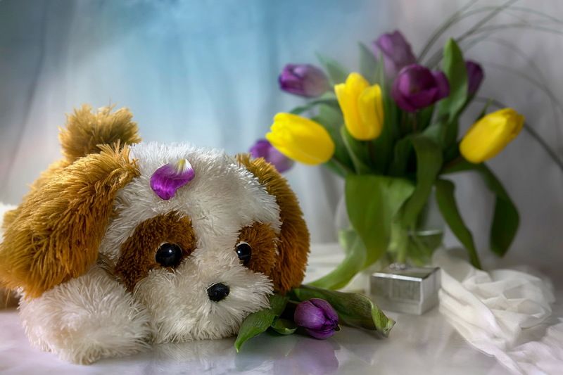 С Праздником, девчонки! фото превью