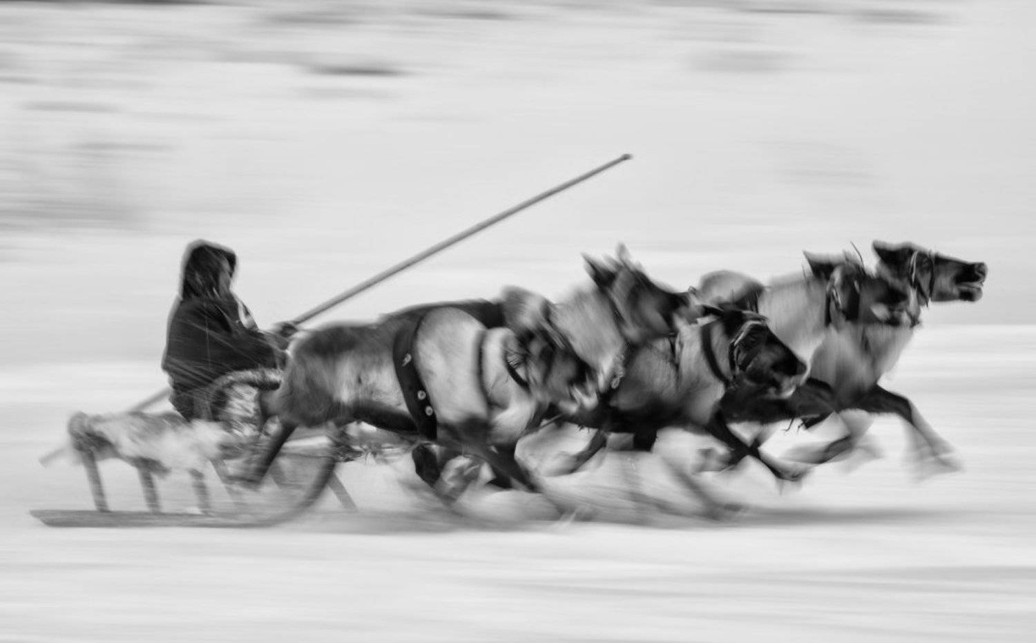 , Андрей Снегирёв