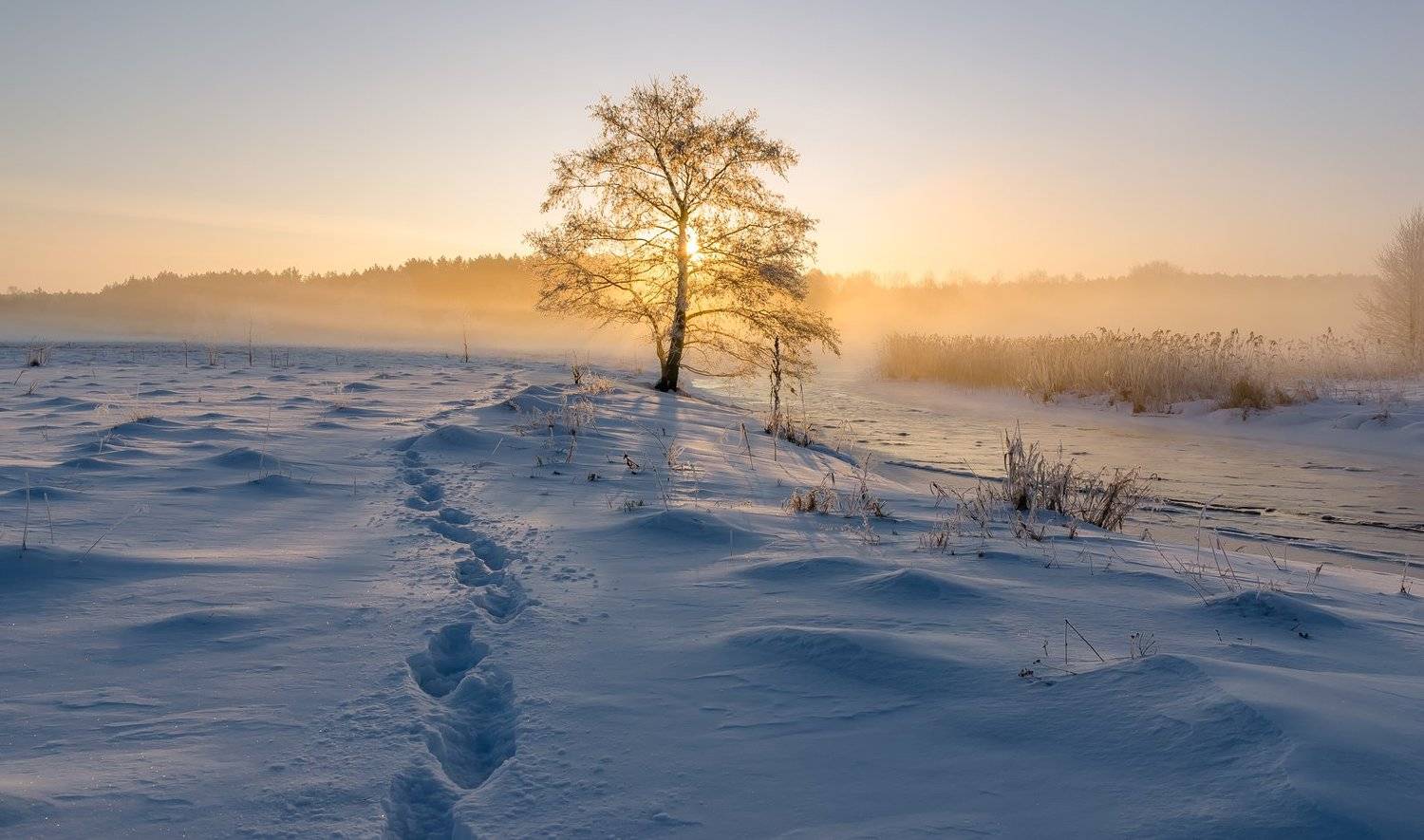 , Руслан Авдевич