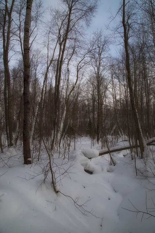 ******** фото превью