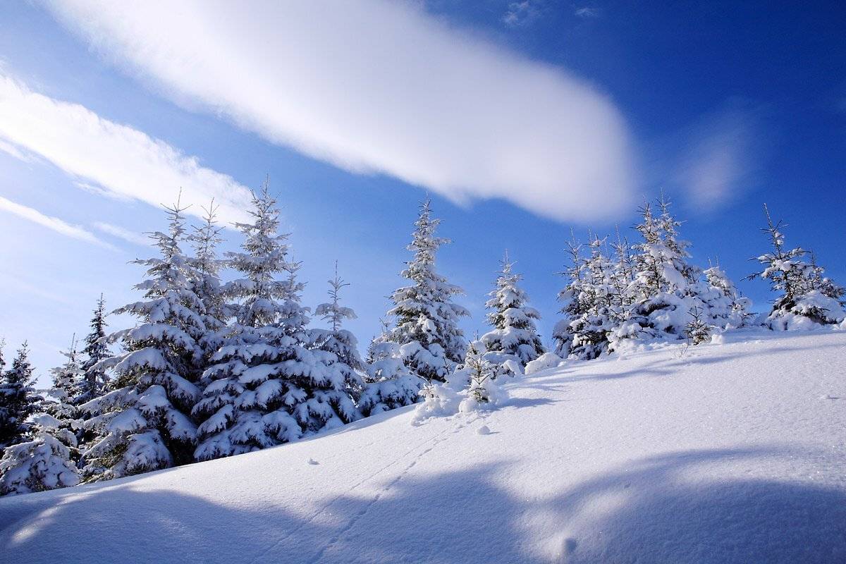 , Виталий Ра