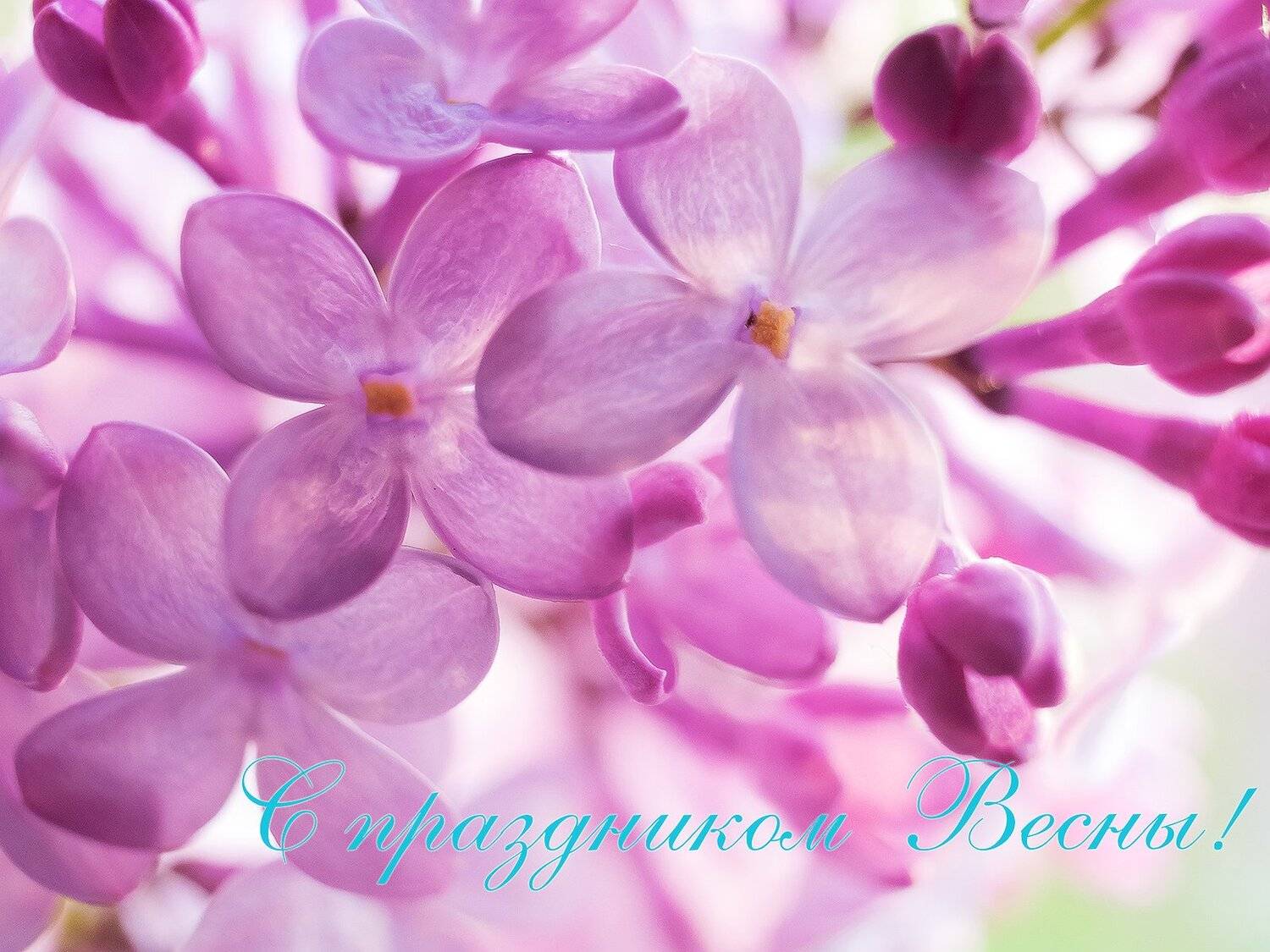 , Лещёнок Александр