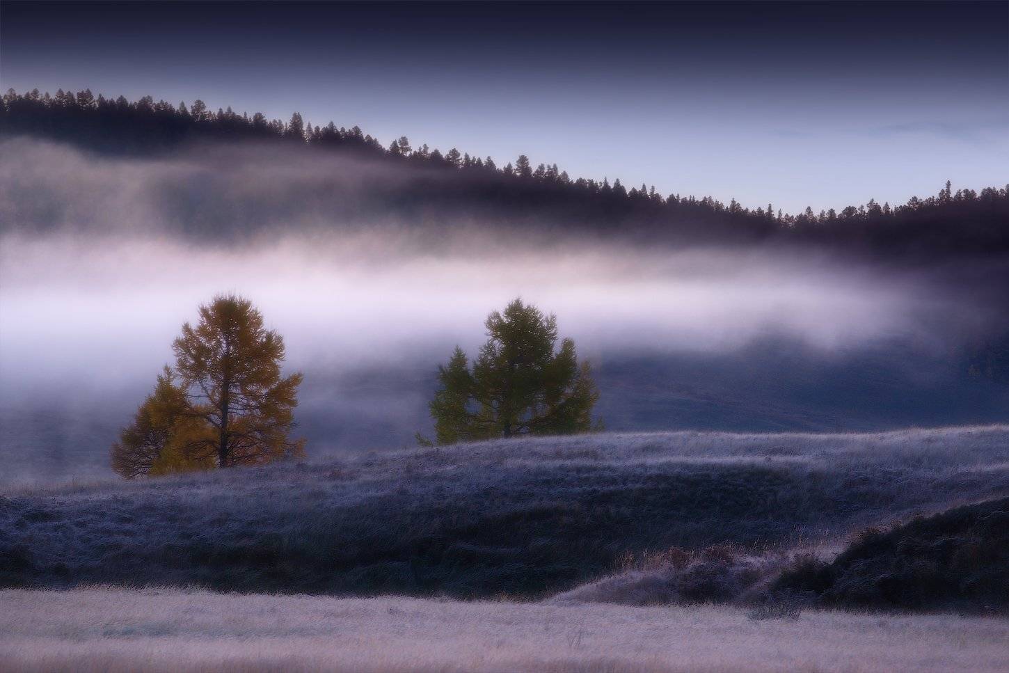 алтай, горы, осень, Владимир Ляпин