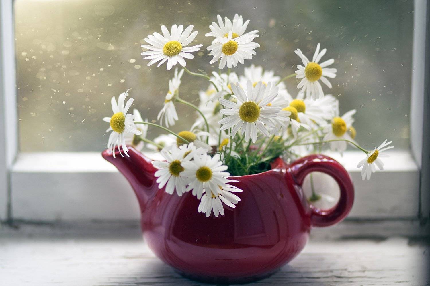 , Наталья Бочкарева