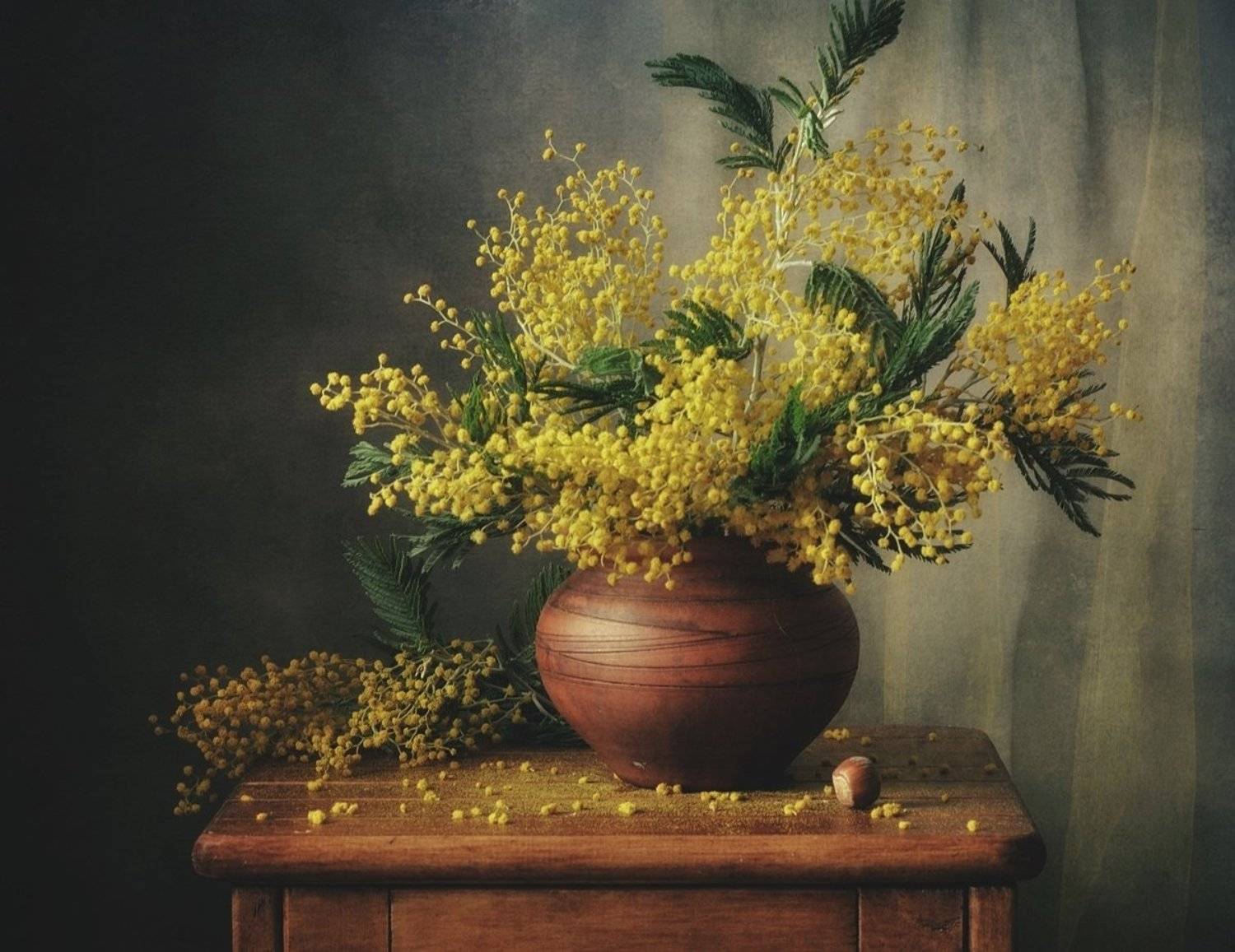 натюрморт,мимоза,цветы, Наталия