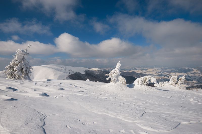 Зимнее настроение фото превью