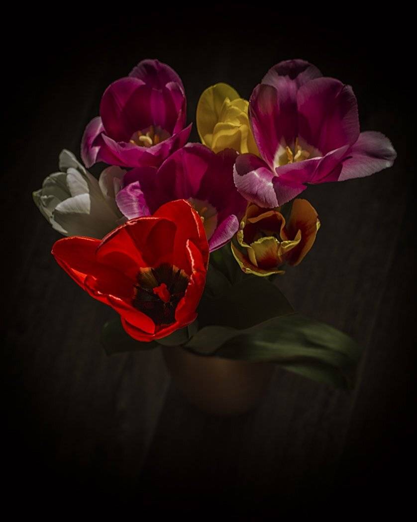 тюльпаны, 8, марта, потом, Евгений Слободской