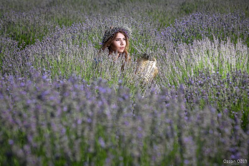 Lavander Lavander Garden фото превью