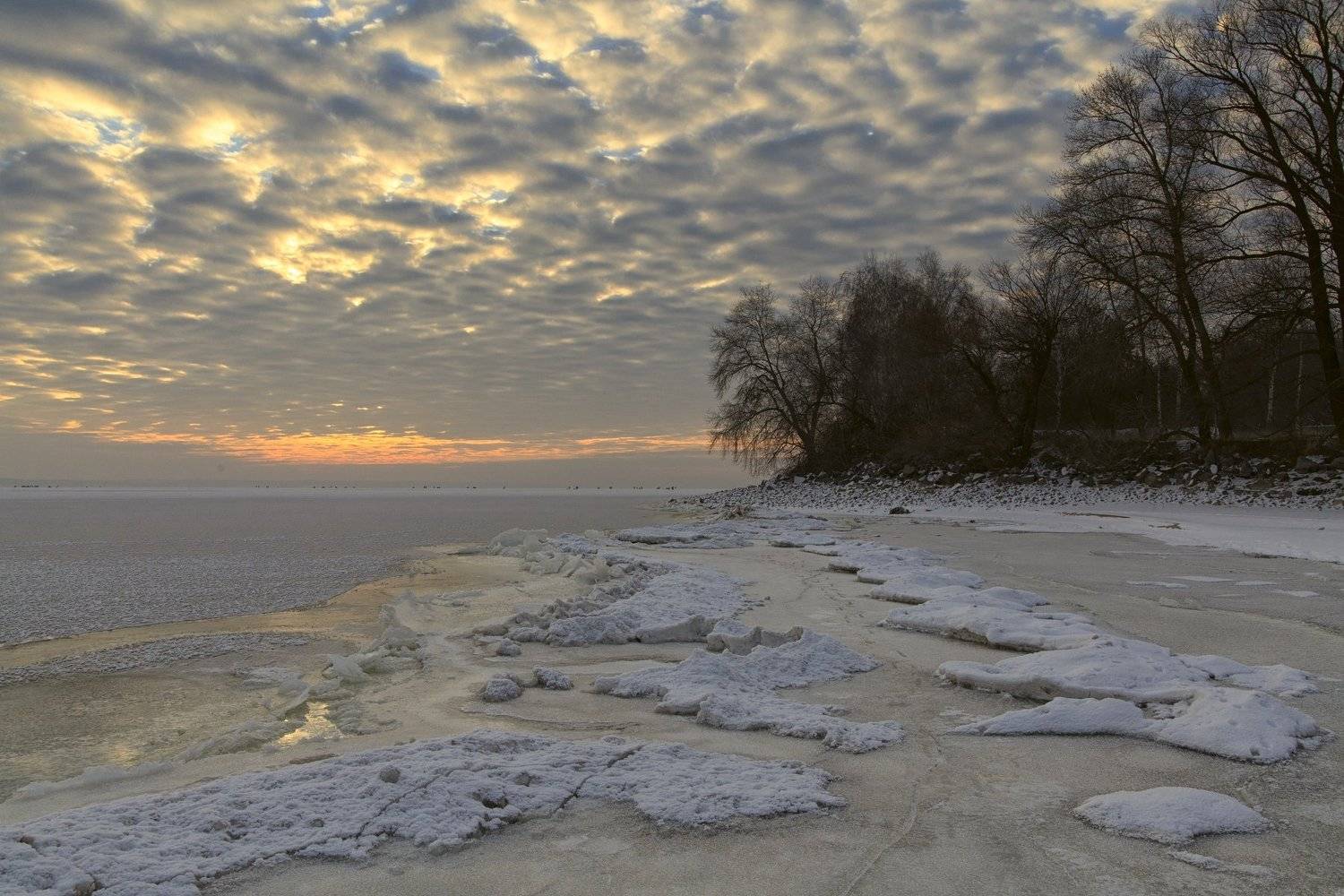 , Александр Войтенко