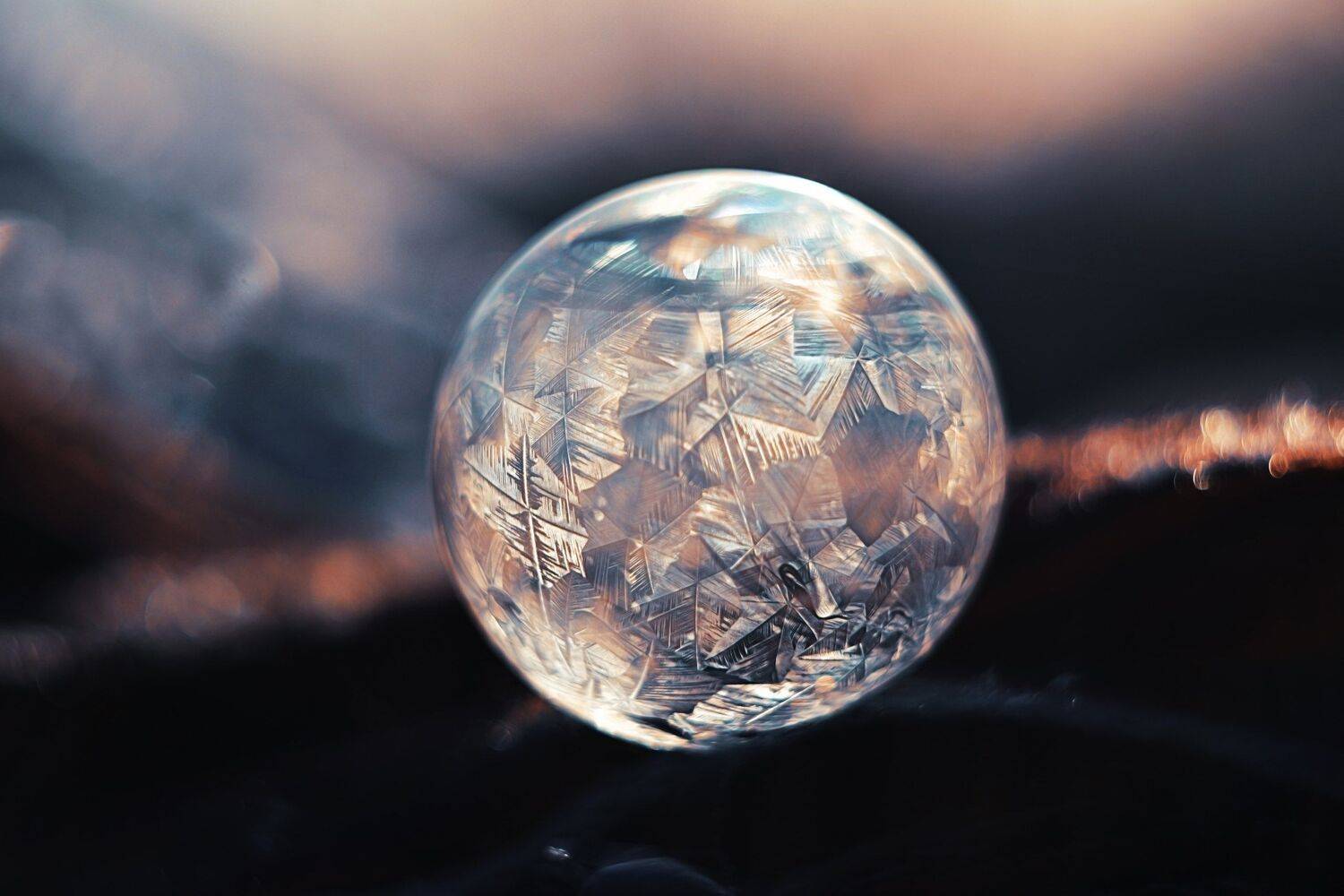 , Лапшина Владлена