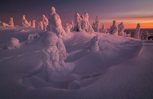 Царство снега