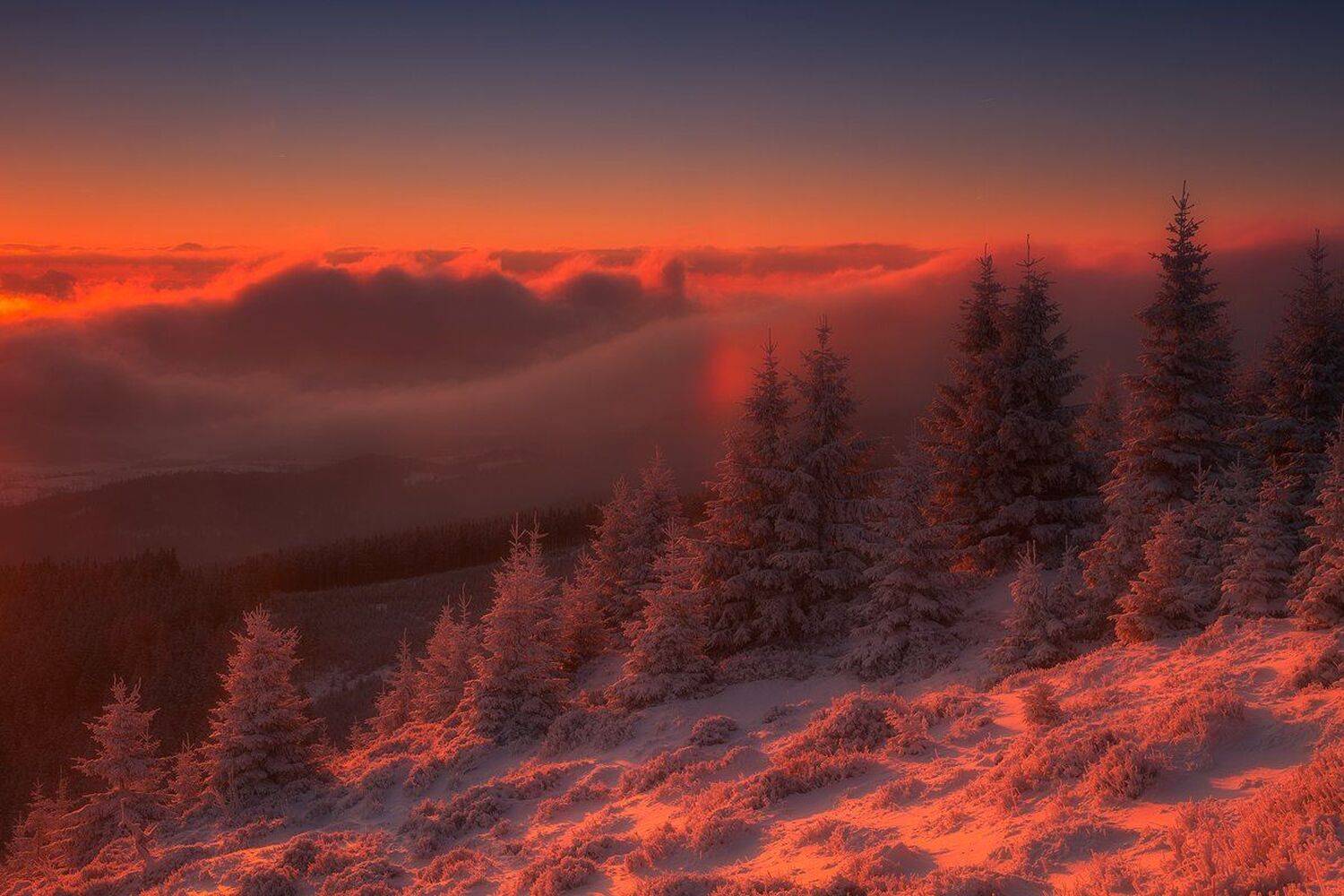 landscape,canon,winter, Iza i Darek Mitręga