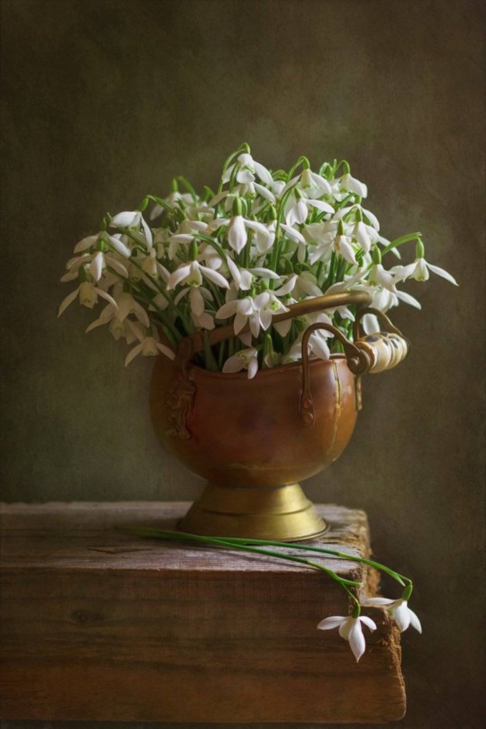 весна, подснежники, натюрморт, spring, snowdrops, still life, Anyuta Gillespie