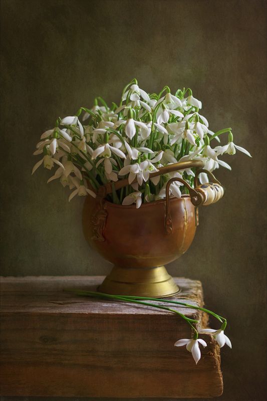 весна, подснежники, натюрморт, spring, snowdrops, still life Весна... фото превью