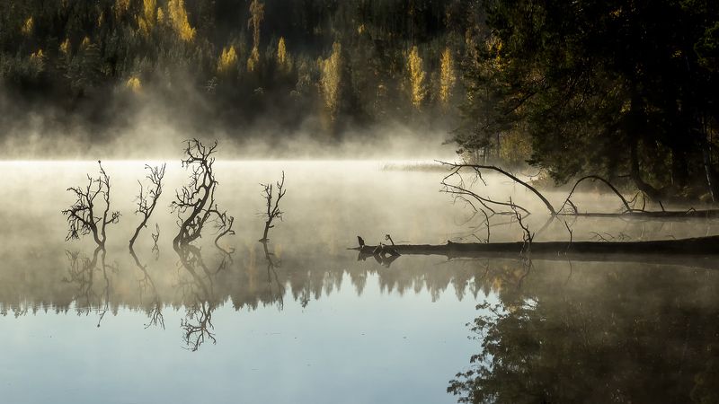 Fallen... фото превью