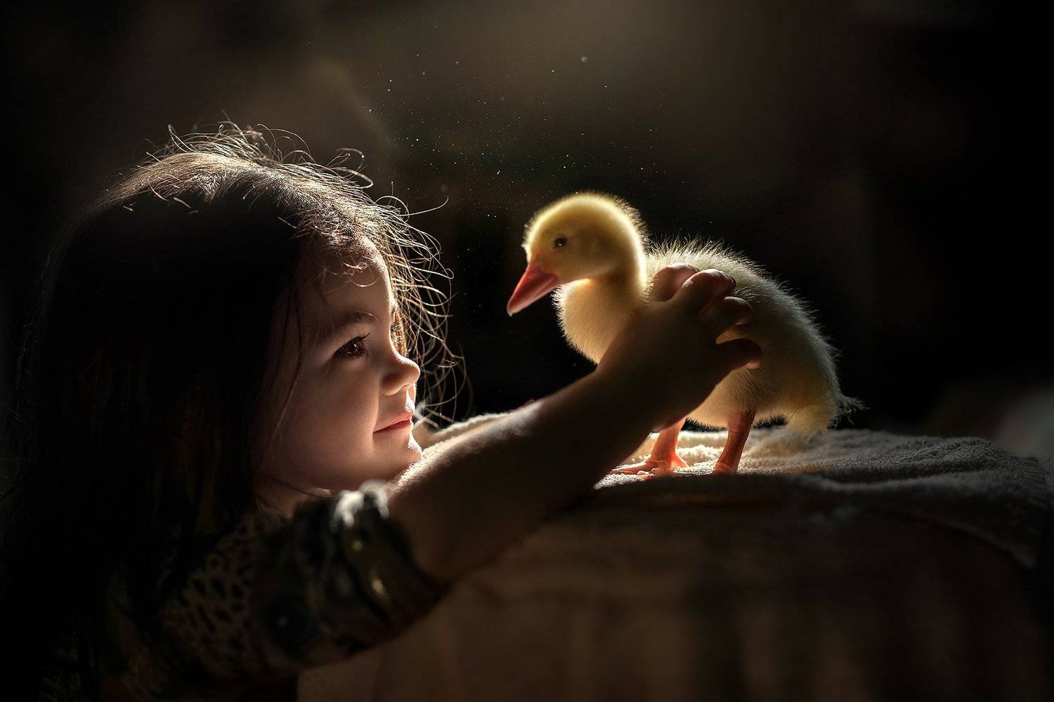 , Елена Миронова