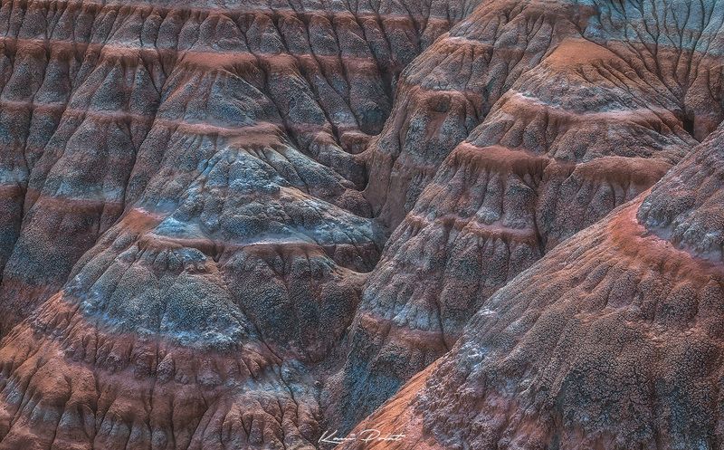 Art of the nature фото превью