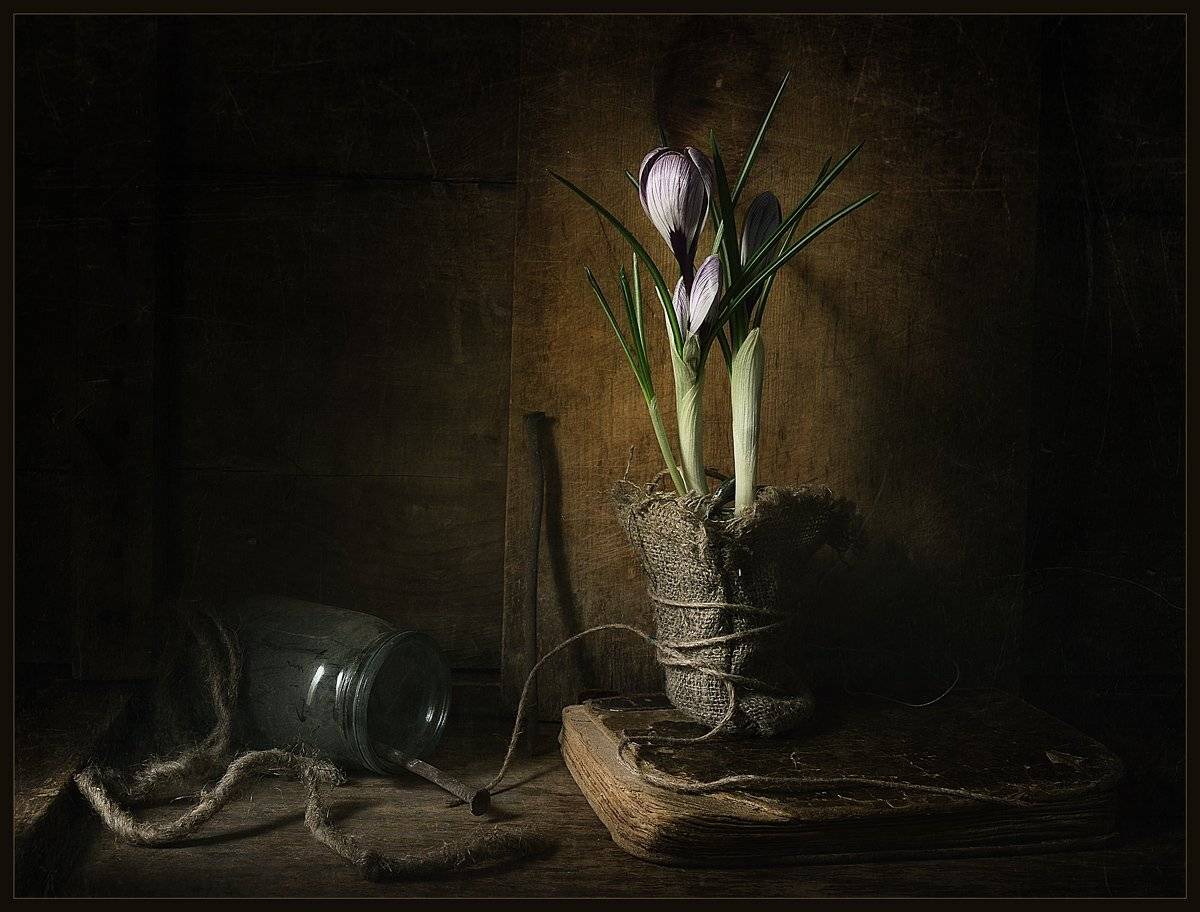 , Александр Хромеев