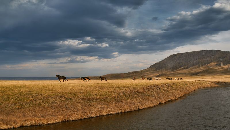 порфолио фото превью