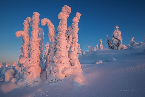 Корона сопки.