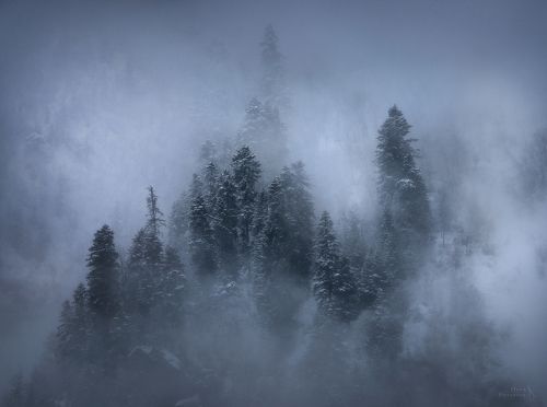 Видения зимы