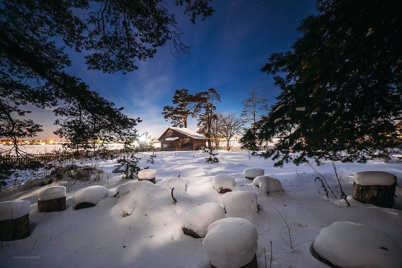 зима, свет, снег, дом, небо, звезды, лес Под Луной фото превью