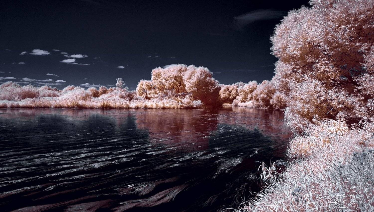 infrared,ик-фото,инфракрасное фото,инфракрасная фотография,пейзаж,природа,беларусь,лето, Sixten ( Сергей )