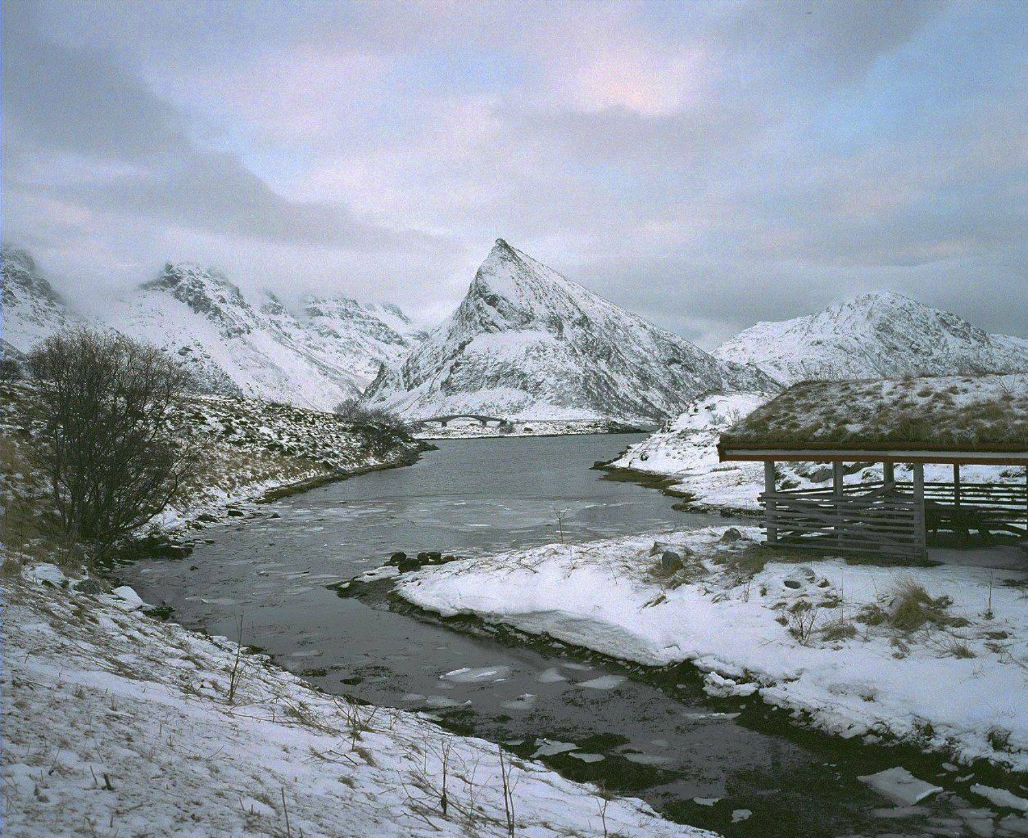 Lofoten, Olek Verze