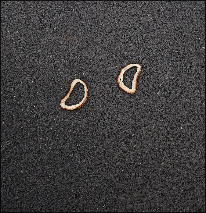 , Krzysztof Trojanowski