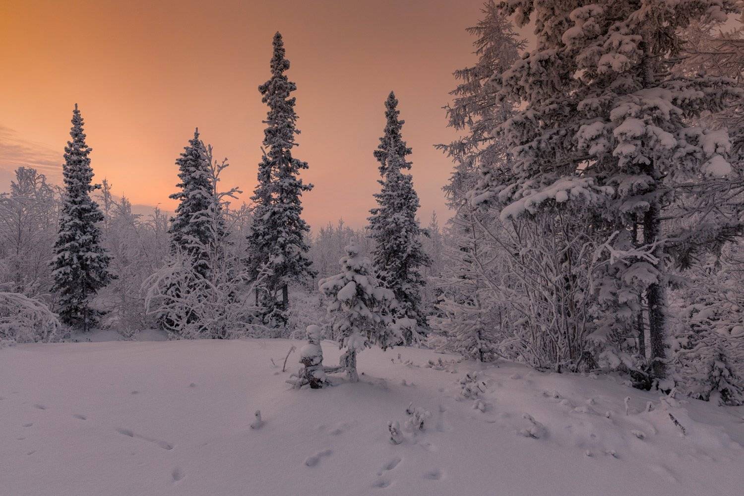 , Евгений Кужилев
