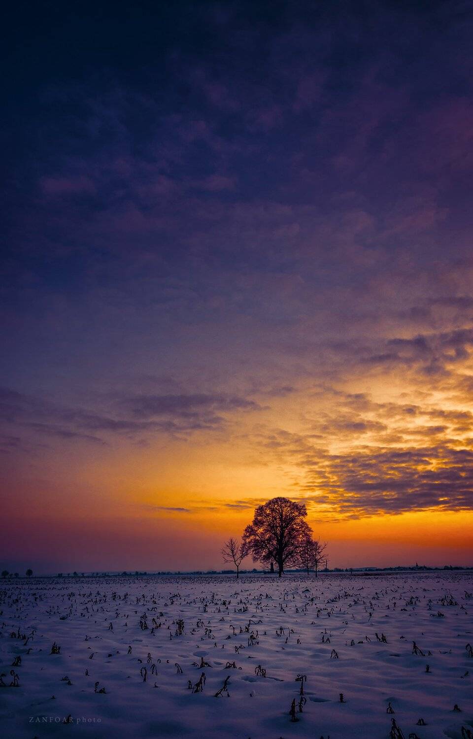 после заката, закат,после заката, поле, зима, снег, дерево, горизонт, облака, цвета, zanfoar, чешская республика, nikon d7000,чехия, Zanfoar