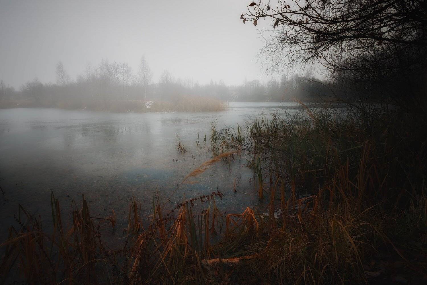 , Алексей Никонов