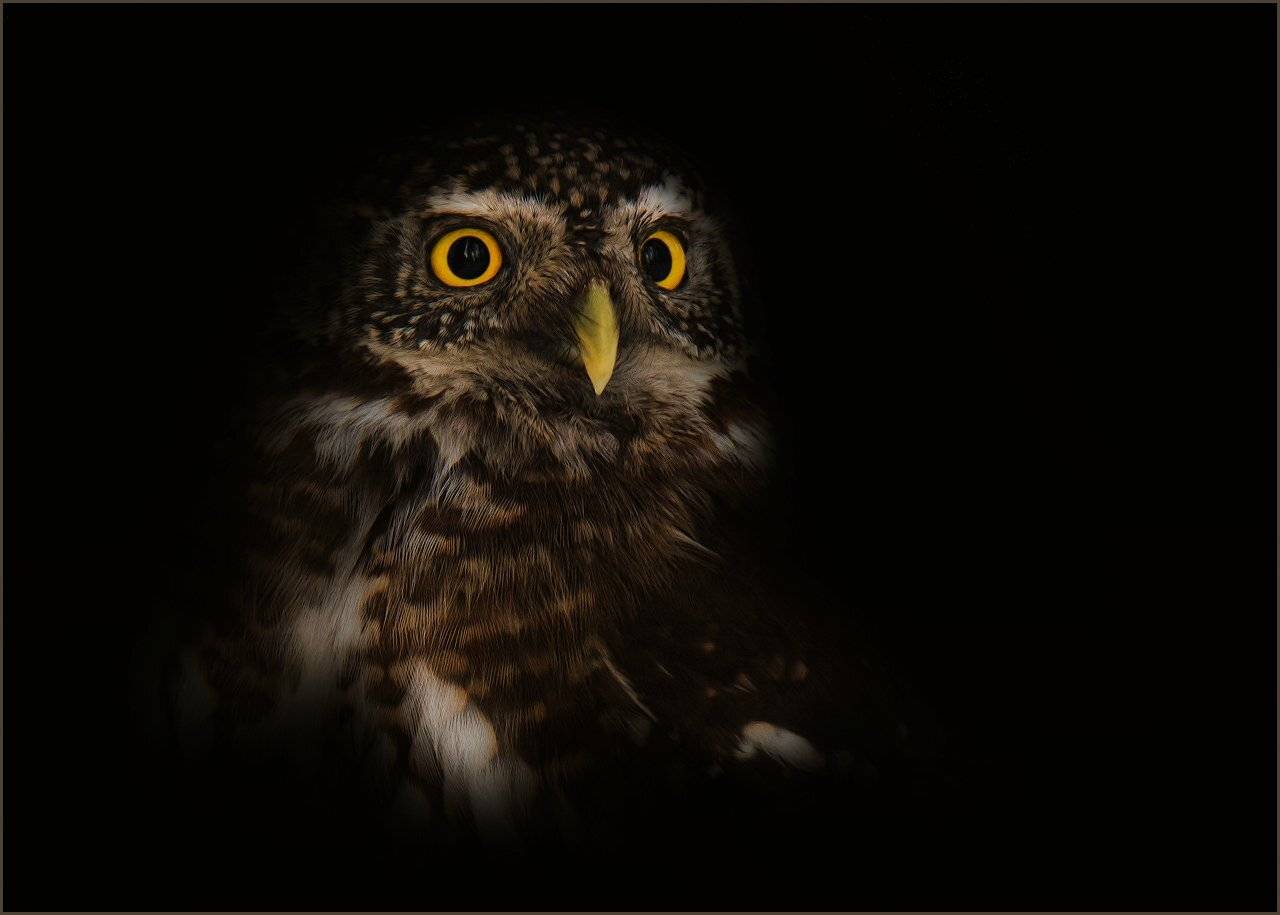 , Валерий Субачев