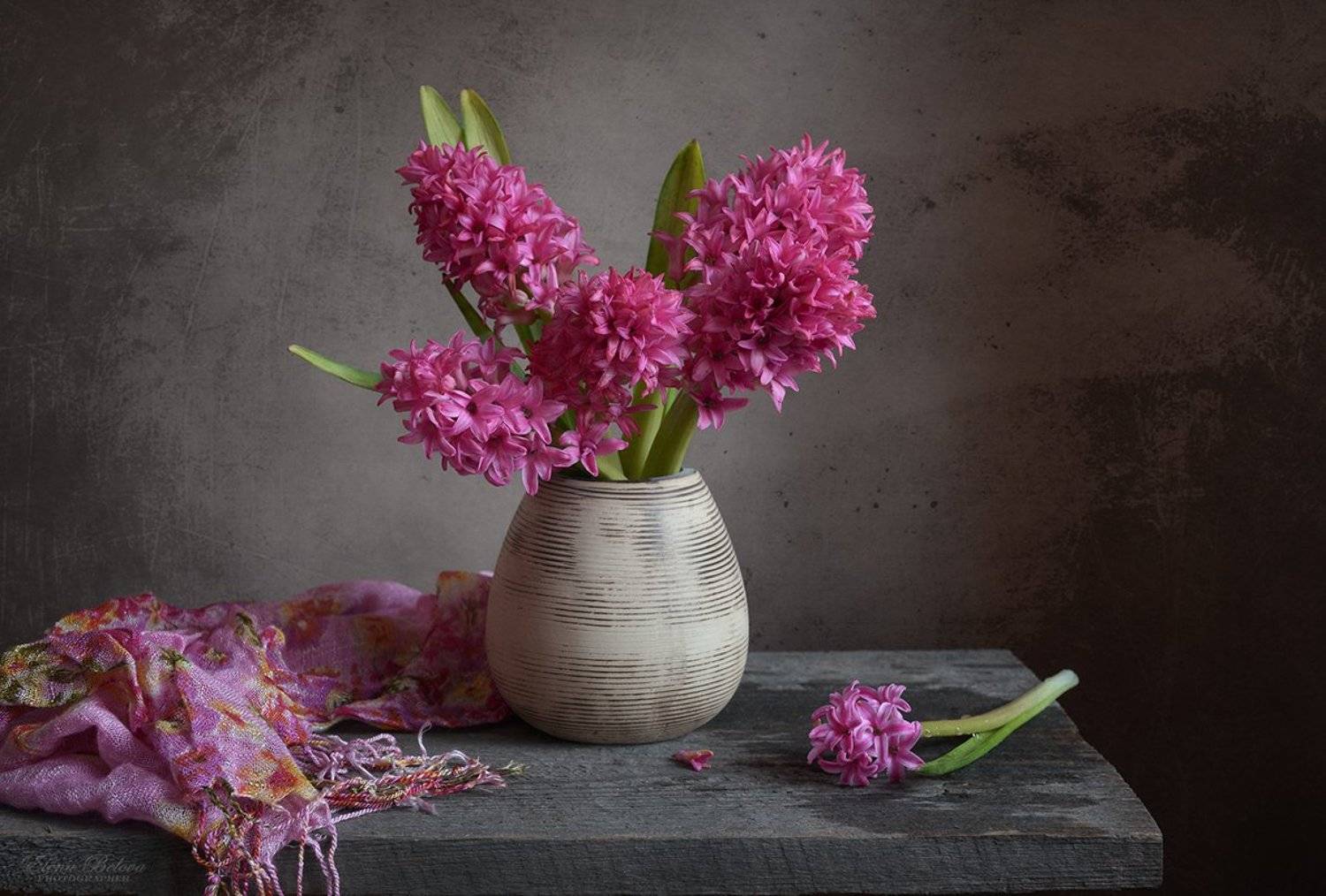 елена белова, натюрморт, Елена Белова