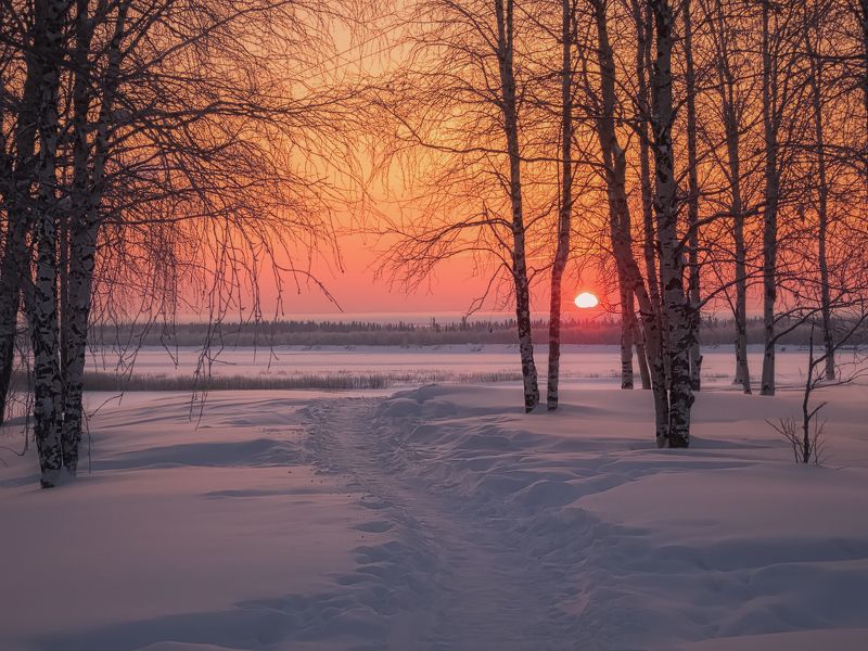 Весенний рассвет севера фото превью