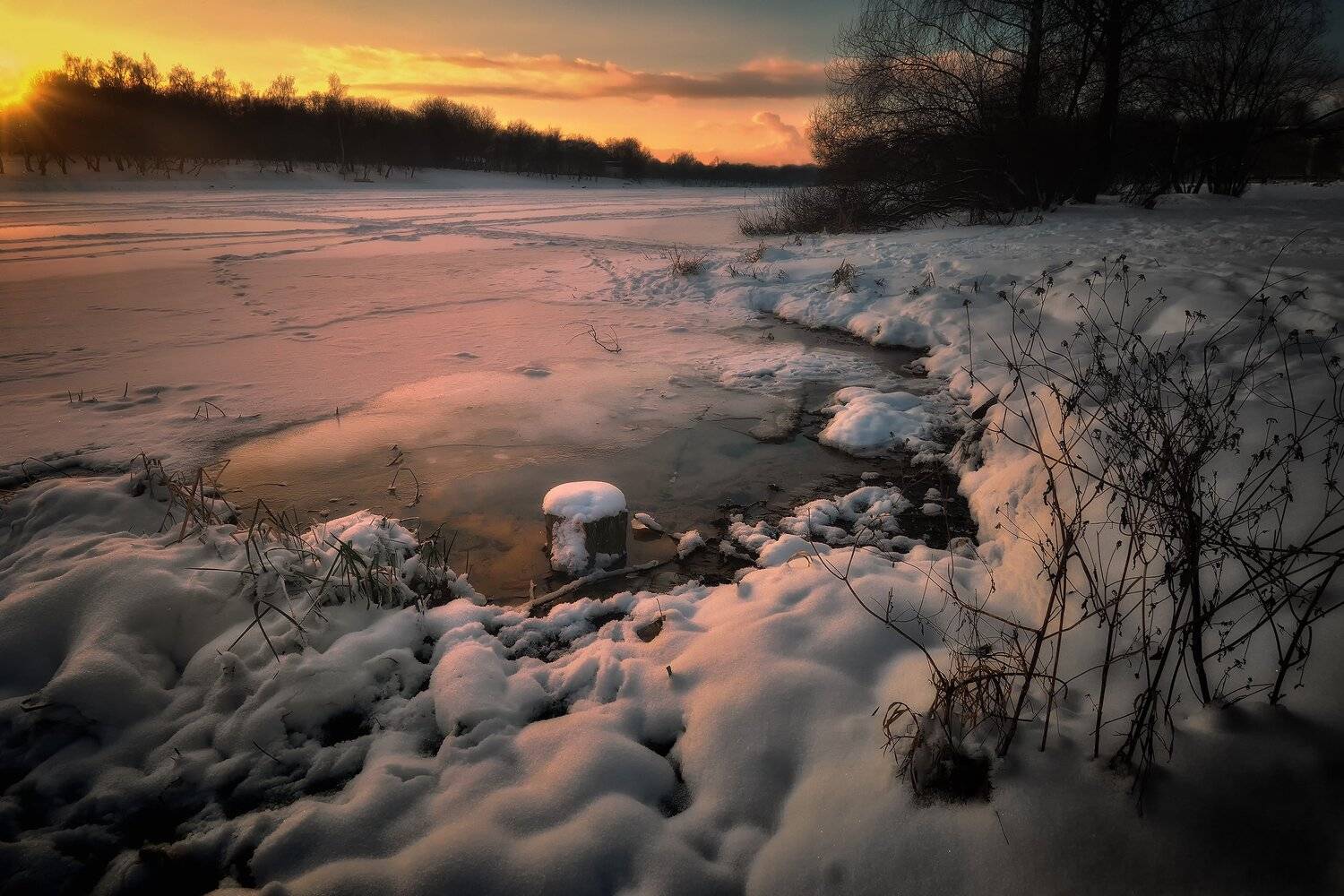 , Алексей Никонов