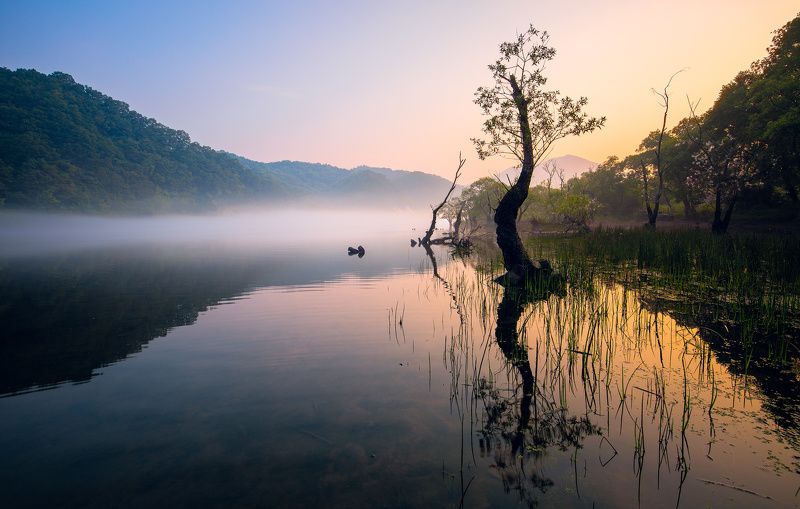 Dancing in the Fog фото превью