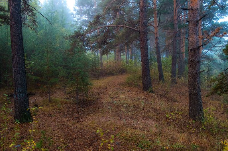 Осенние зарисовки фото превью