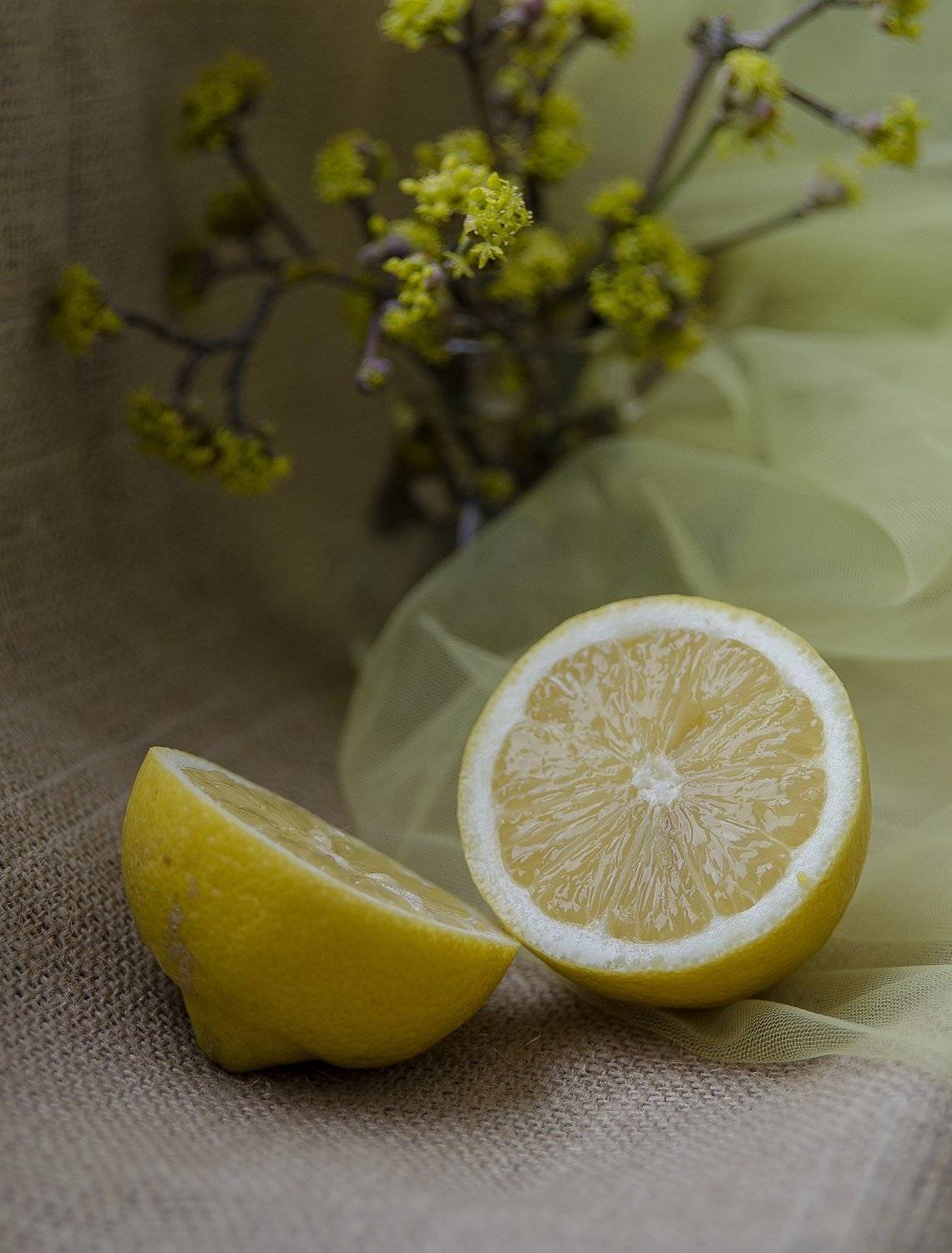 , Елена Вапняр