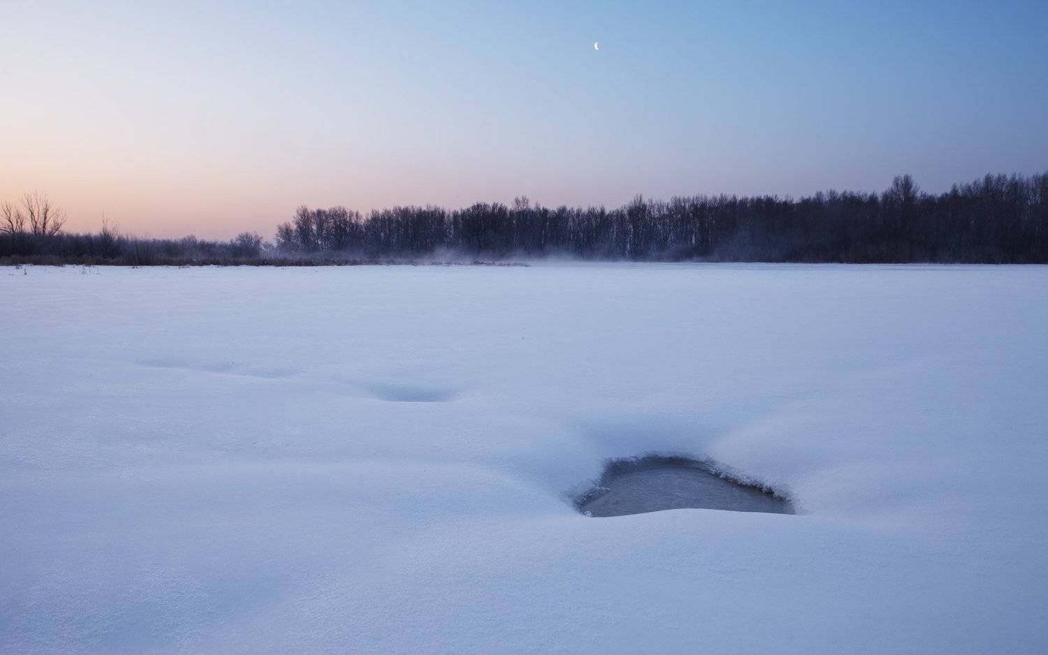 , Николай Алехин