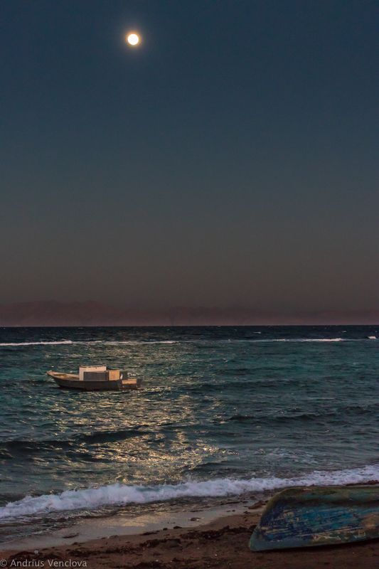 За день до полнолуния фото превью