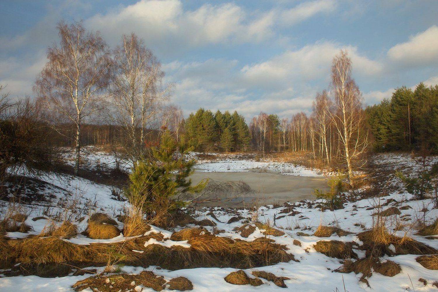 урочище комары, Дмитрий Алексеев