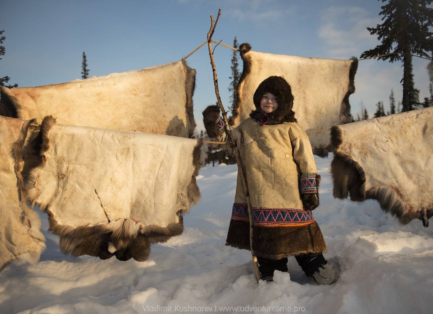 , Vladimir Kushnarev