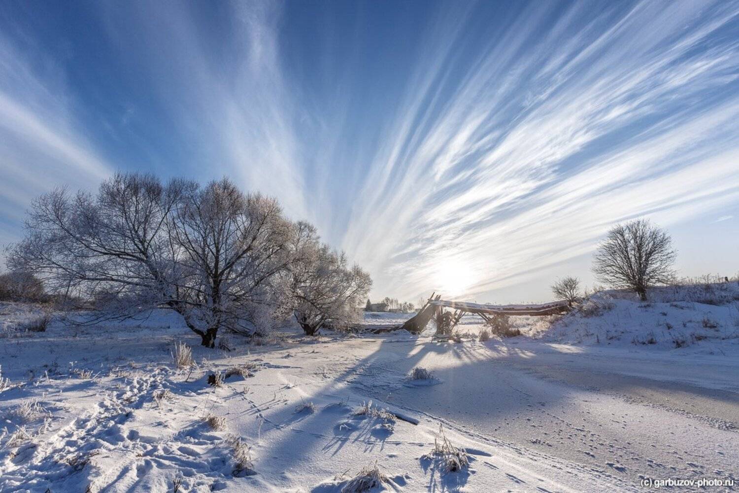 , Гарбузов Илья